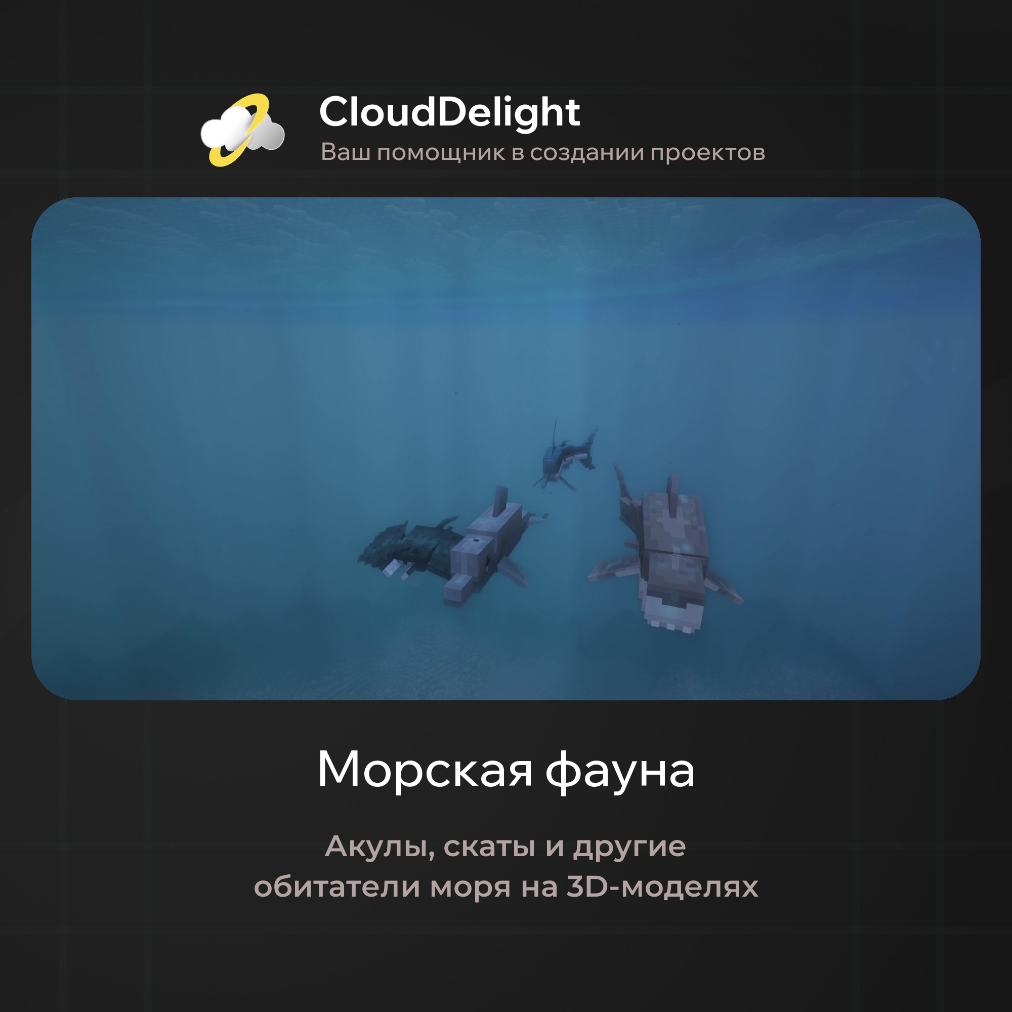 cloudpirategrief2
