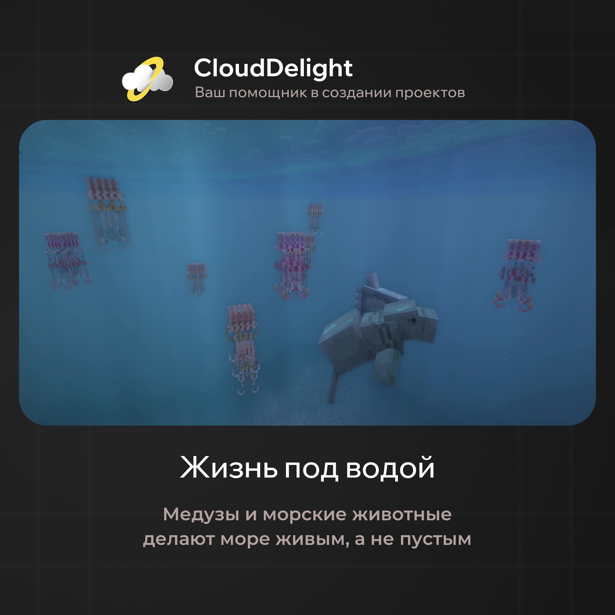 cloudpirategrief2